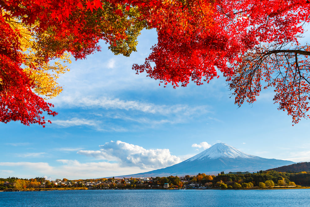 Mt. Fuji in autumn